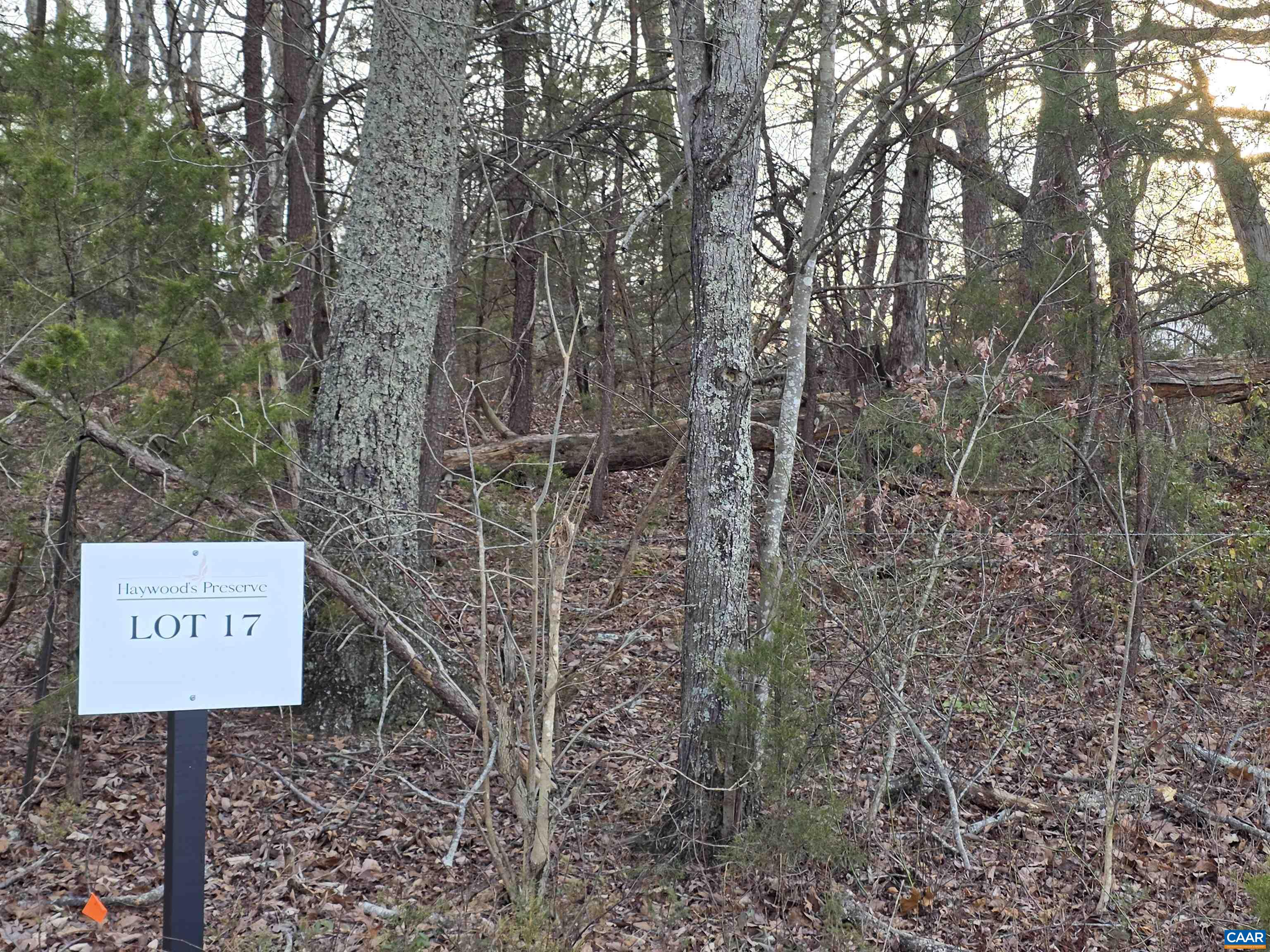 Lot 17 Pea Ridge Road Stanardsville, VA 22973 - Photo 5 of 9 a sign board with tall trees