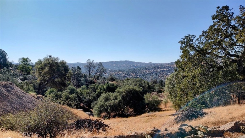 a view of a forest with mountains in the background