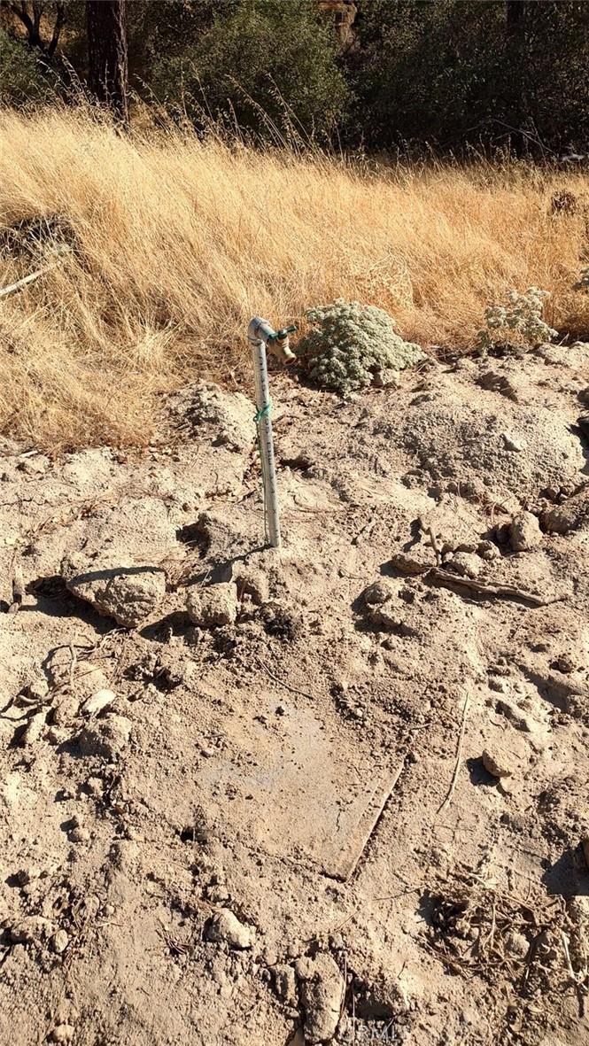 4-03ac Powder Horn Way Coarsegold, CA 93614 - Photo 6 of 7 a view of a yard covered with snow