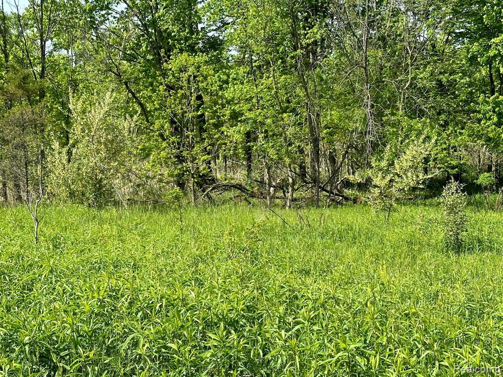 D North Holly Road Holly, MI 48442 - Photo 26 of 27