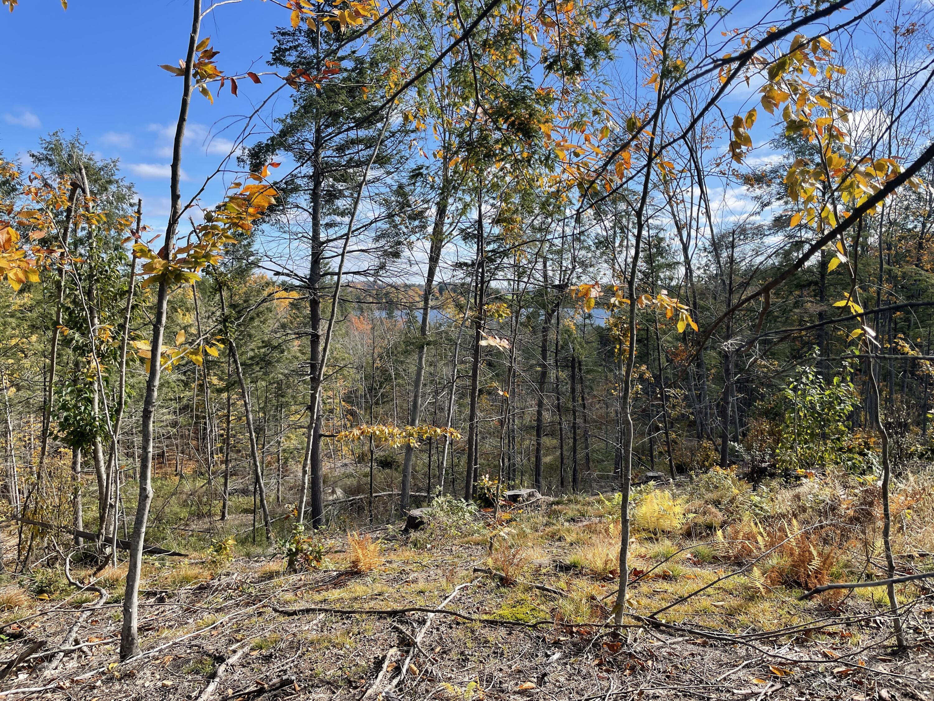 69 Packard Road Monmouth, ME 04259 - Photo 5 of 24 IMG_7238