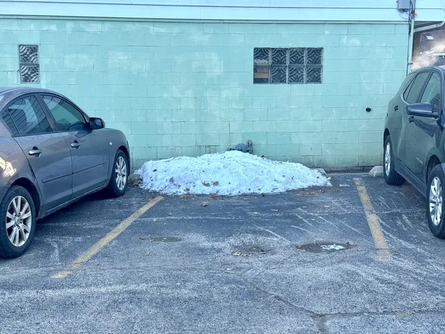 $1,750 | 424 Elgin Avenue, Unit 8, Forest Park, IL 60130