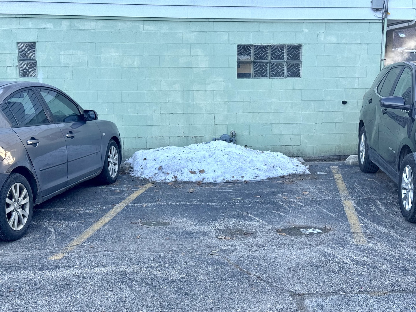 424 Elgin Avenue, Unit 8 Forest Park, IL 60130 - Photo 21 of 21