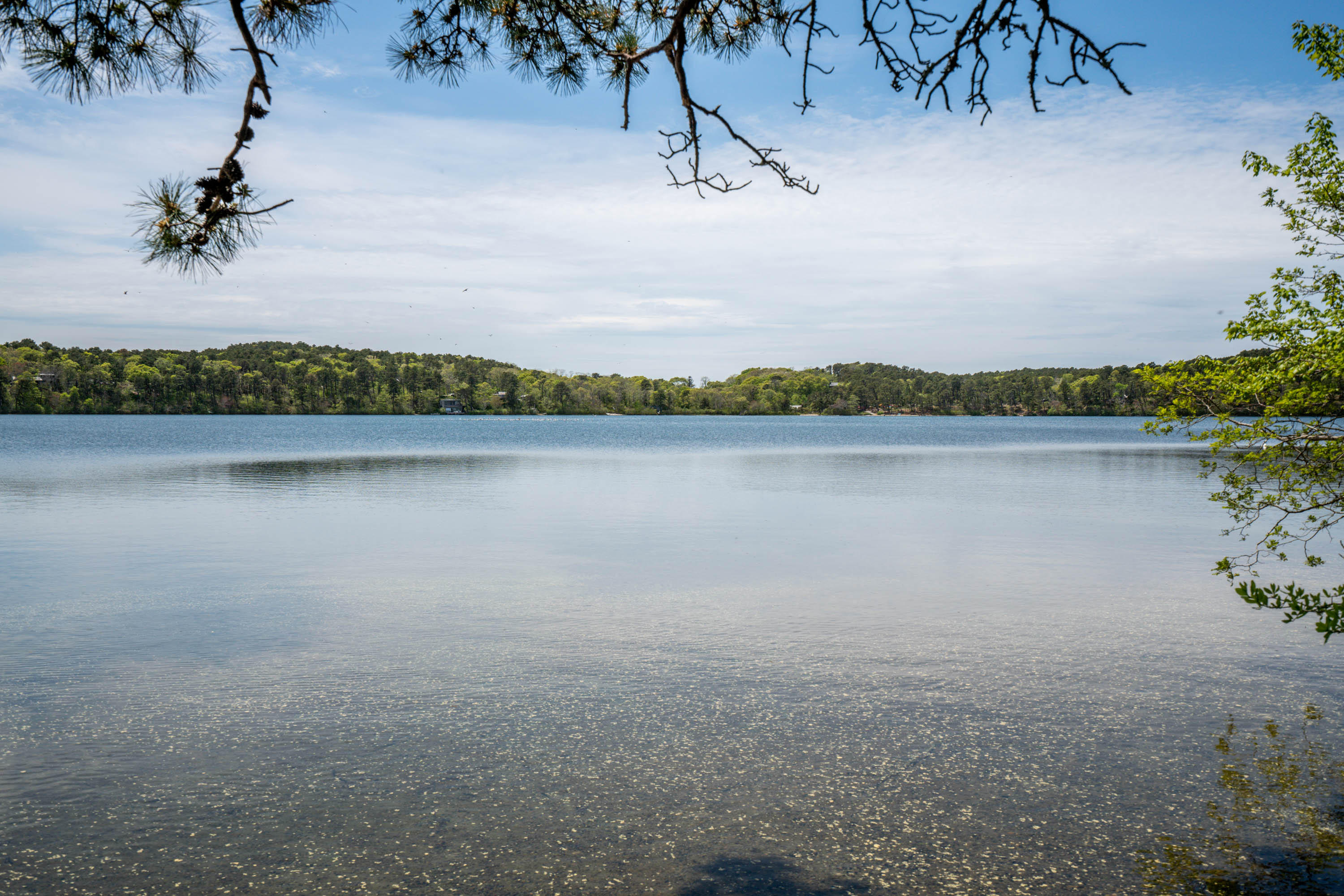 120 Aunt Sally's Road Wellfleet, MA 02667 - Photo 5 of 26 a view of a lake view