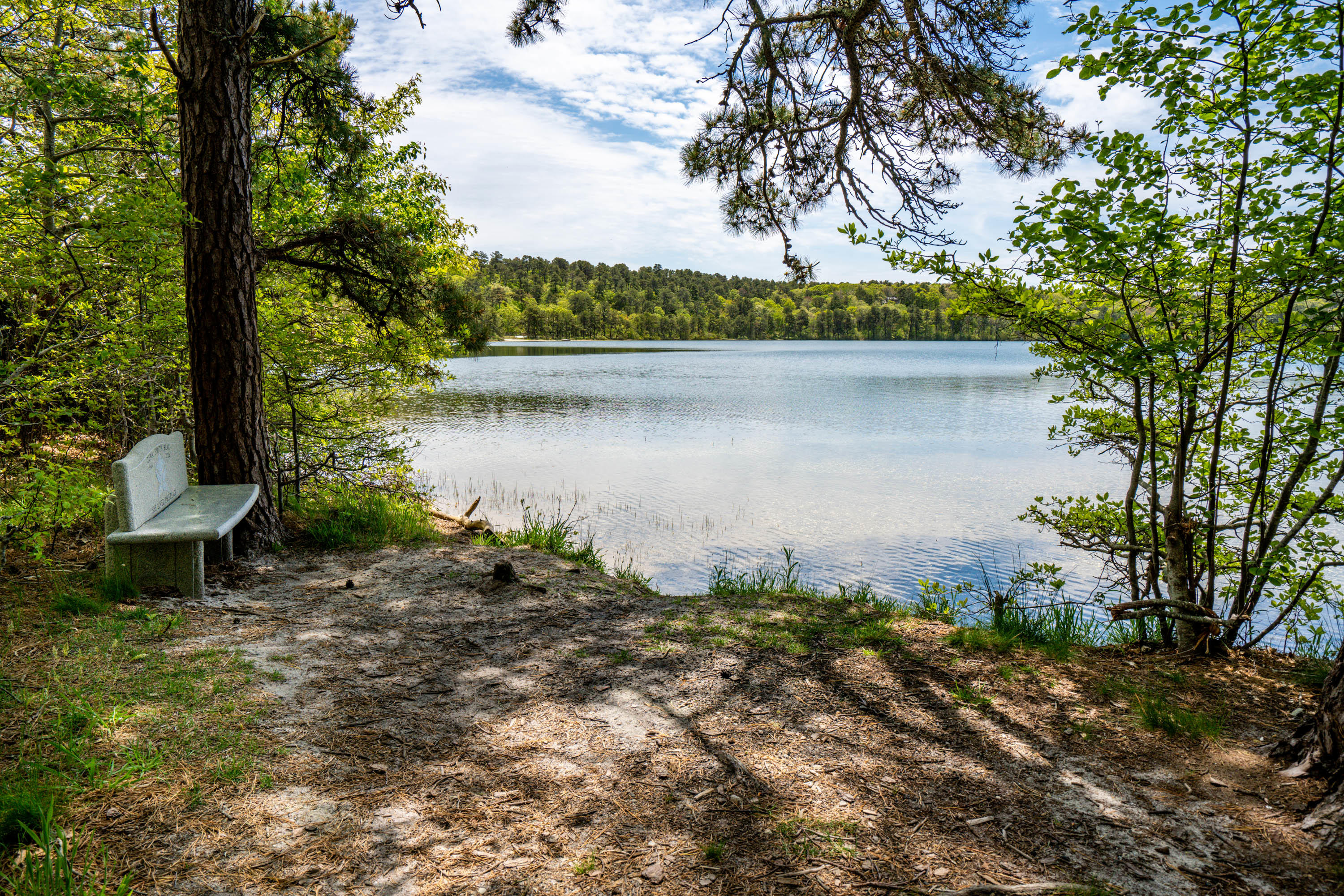 120 Aunt Sally's Road Wellfleet, MA 02667 - Photo 8 of 26 a view of a lake with a tree