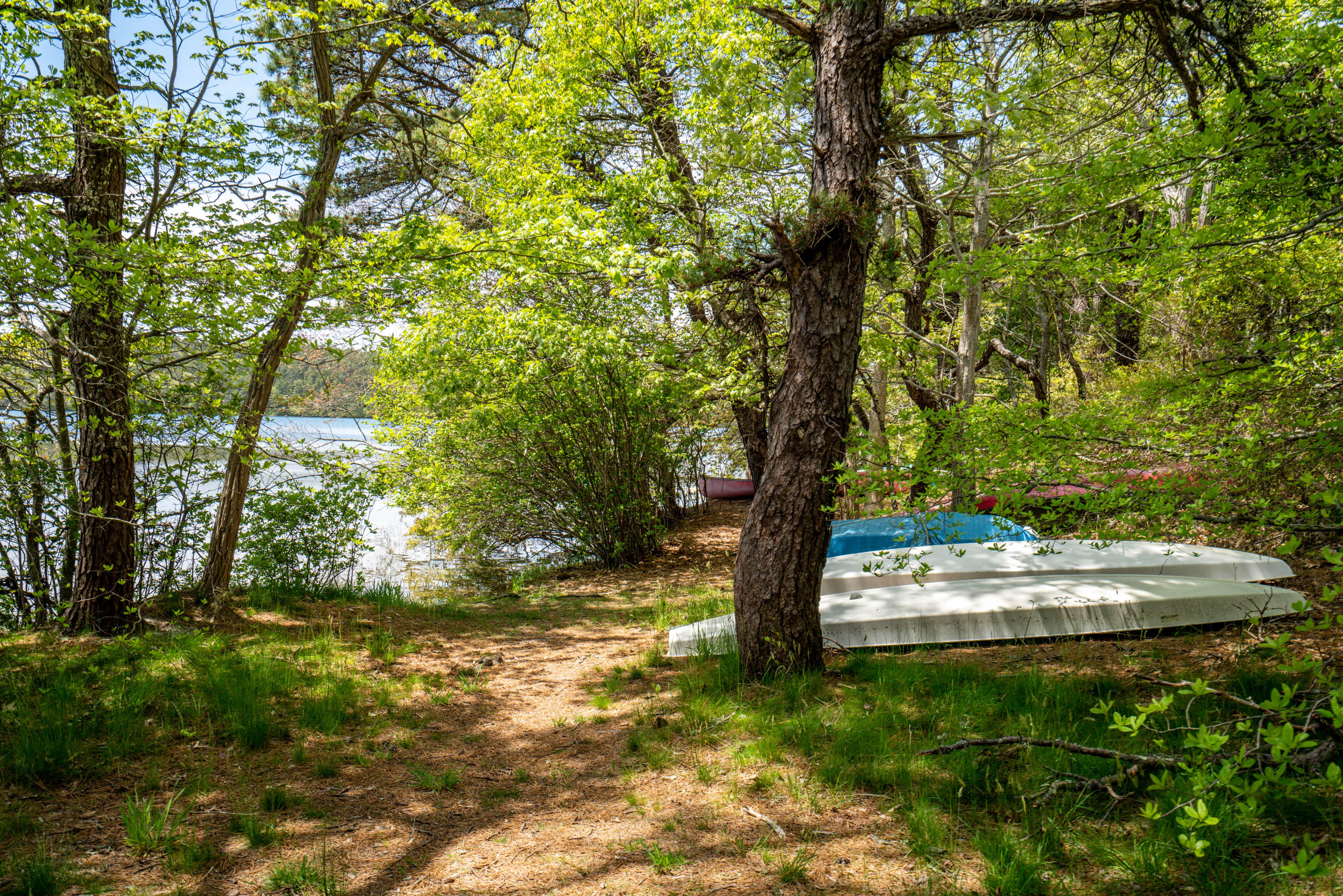 120 Aunt Sally's Road Wellfleet, MA 02667 - Photo 9 of 26 a view of a yard with a tree