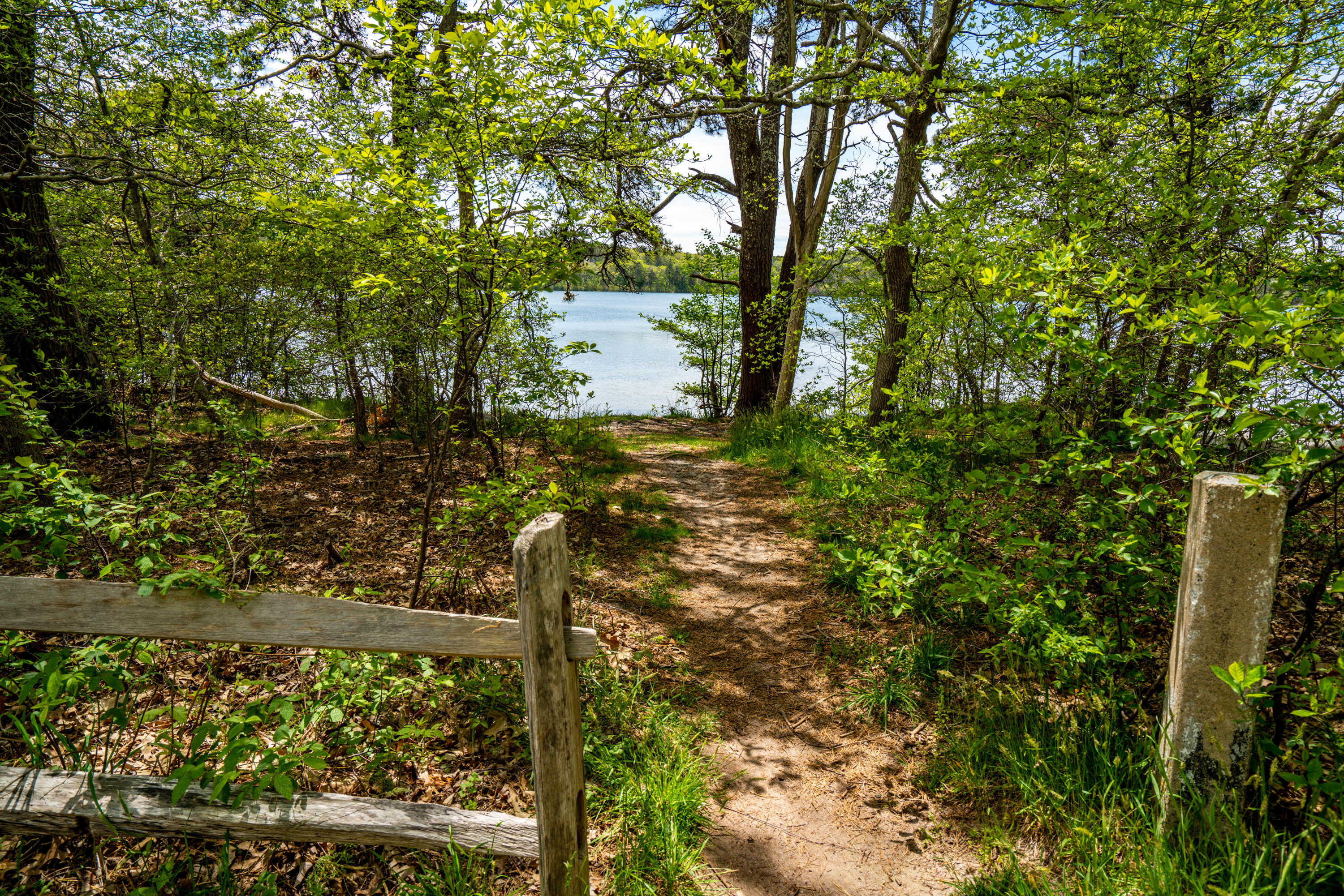 120 Aunt Sally's Road Wellfleet, MA 02667 - Photo 10 of 26 a view of a yard