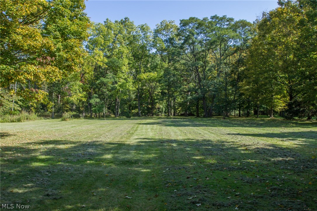 549 Riverview Road Gates Mills, OH 44040 - Photo 27 of 30 Back Yard