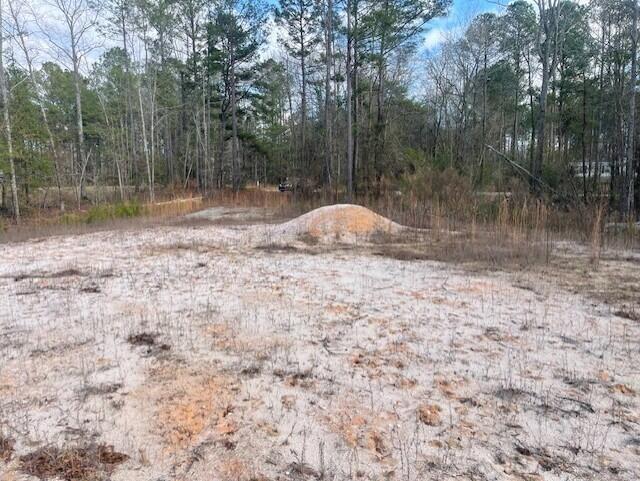 Lot 32 Stapleton Acres Court Stapleton, GA 30823 - Photo 4 of 6 great homesite