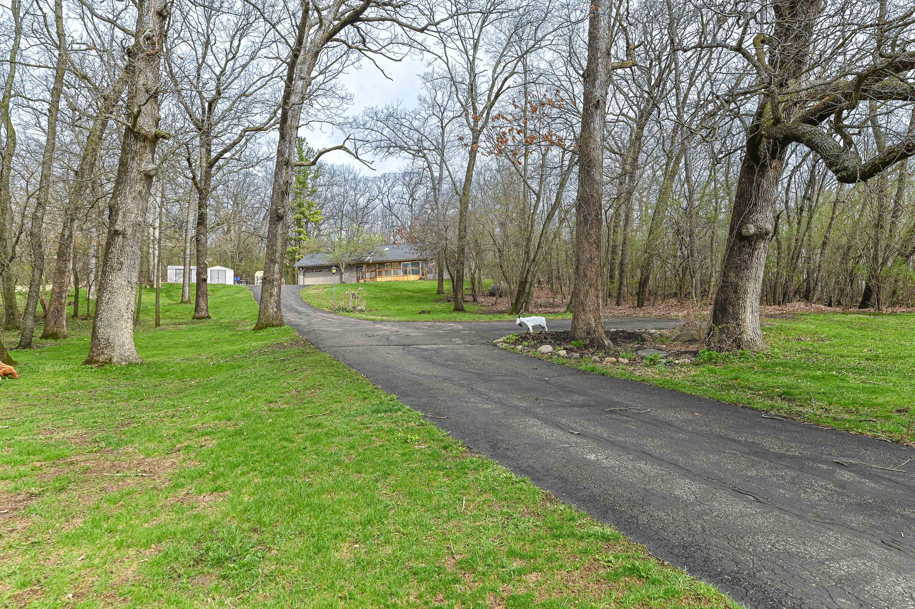 W3730 Scotch Bush Road Lafayette, WI 53121 - Photo 14 of 39 Driveway up to house