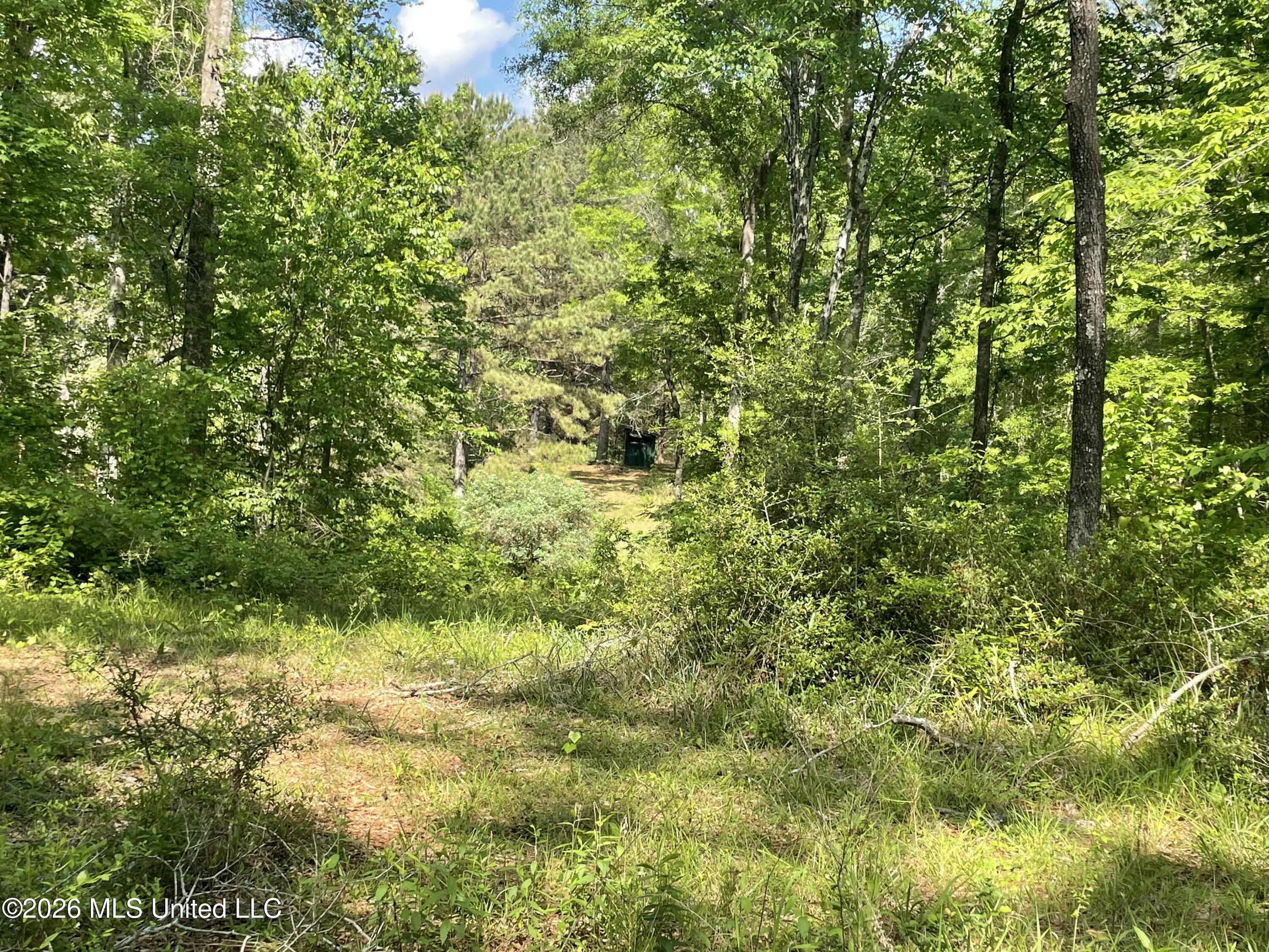 420 Southeast River Rd Drive Bogue Chitto, MS 39629 - Photo 11 of 11 IMG_4002