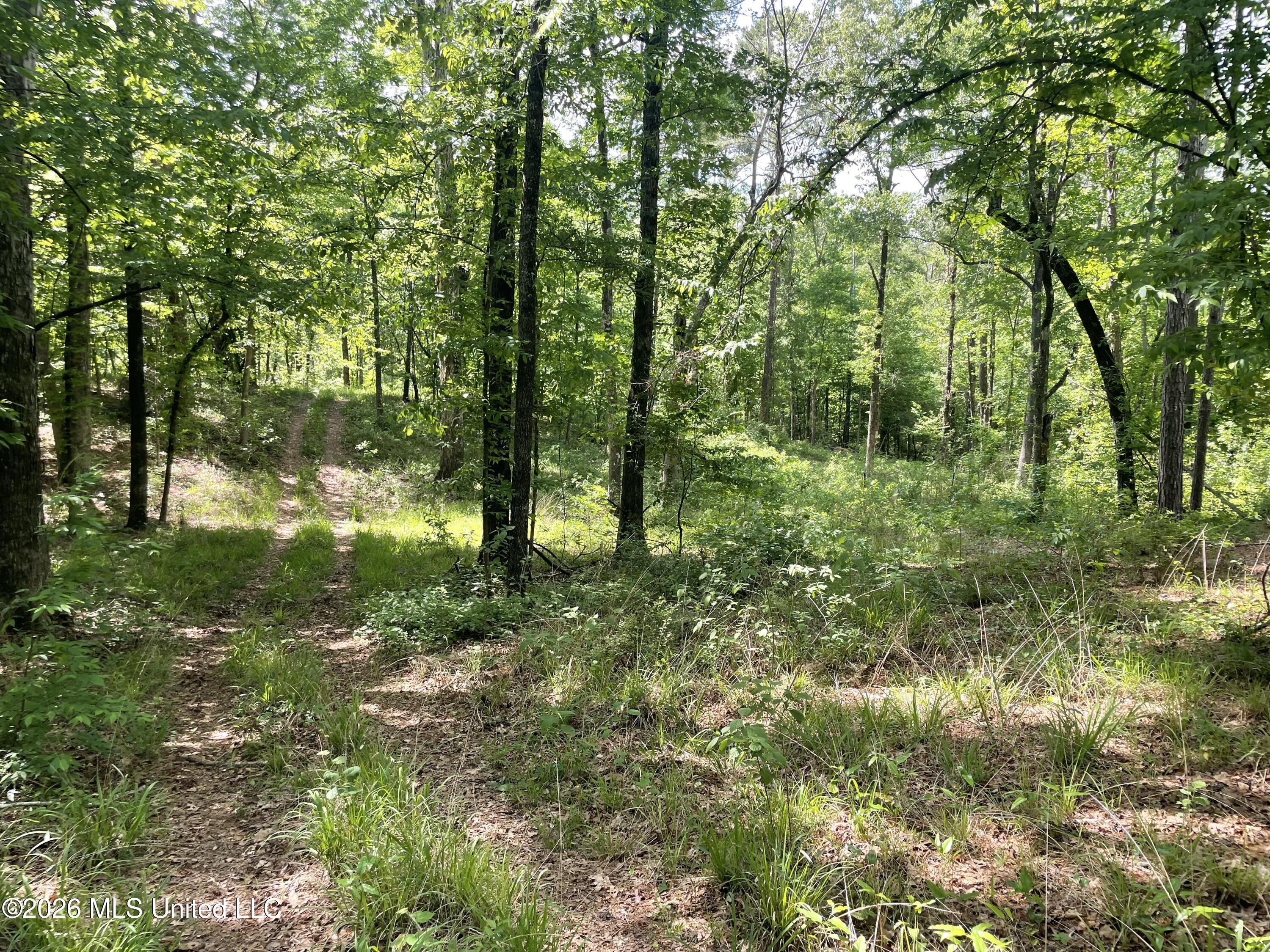 420 Southeast River Rd Drive Bogue Chitto, MS 39629 - Photo 2 of 11 IMG_3986