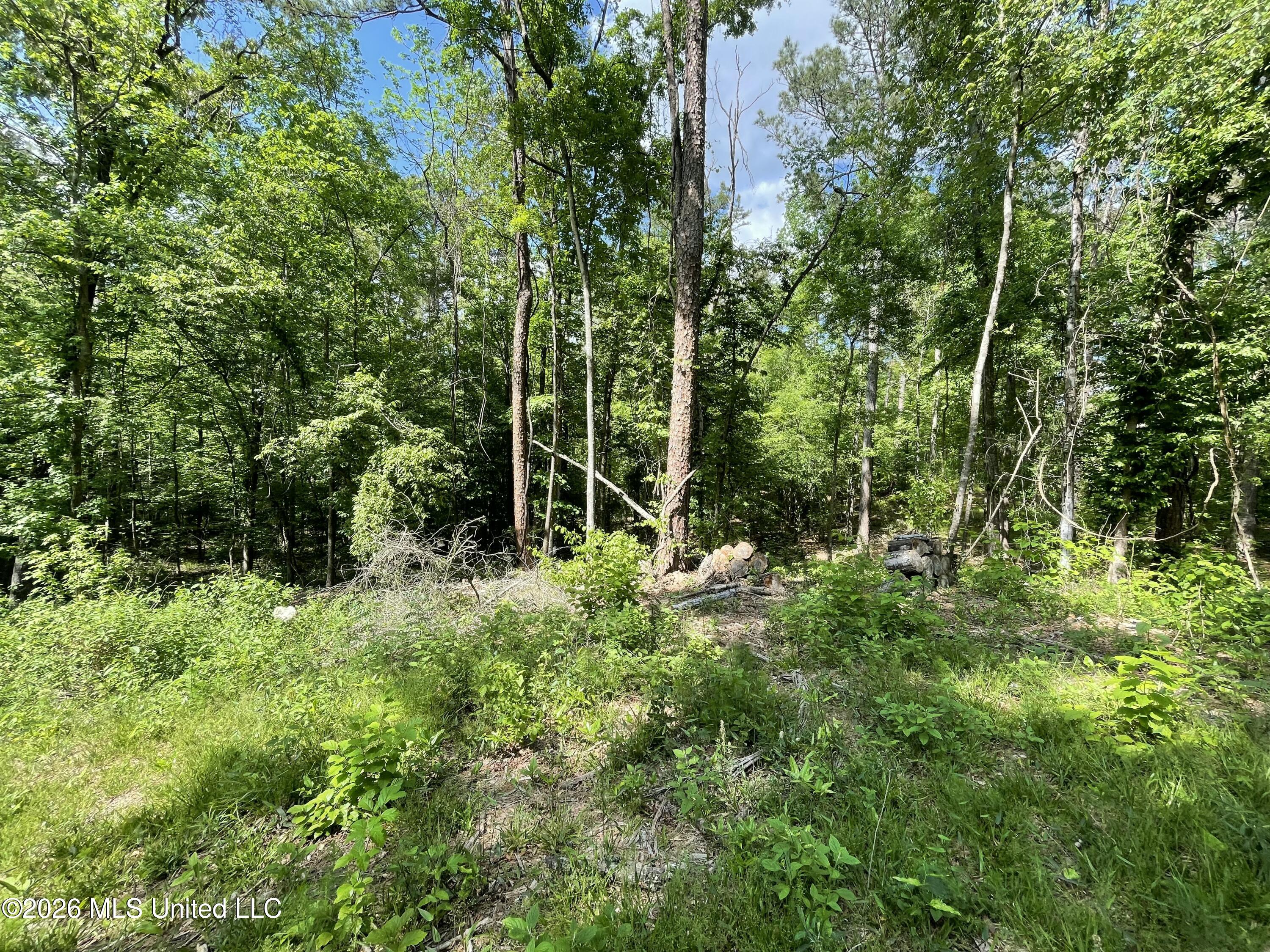 420 Southeast River Rd Drive Bogue Chitto, MS 39629 - Photo 5 of 11 IMG_3990