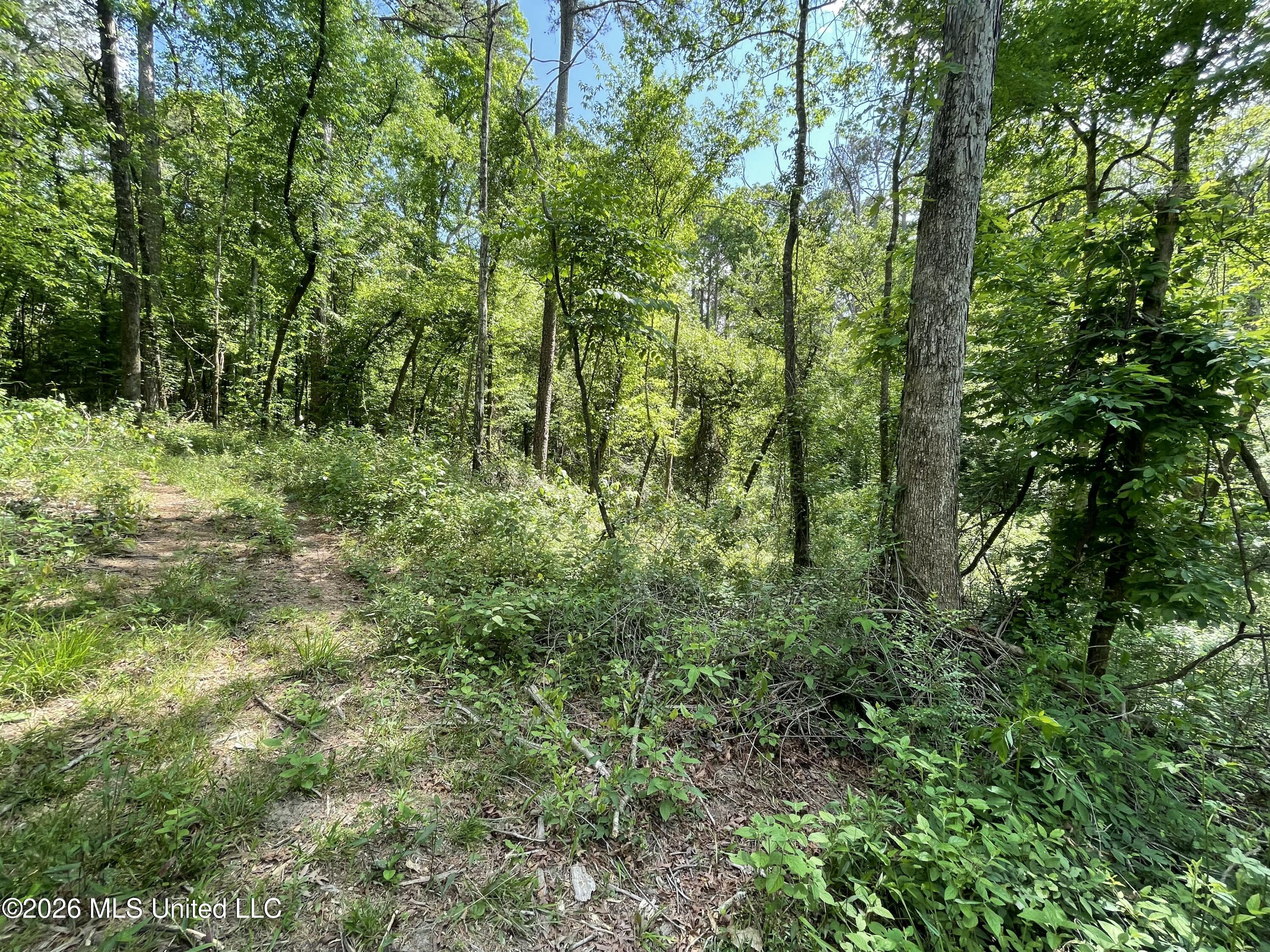 420 Southeast River Rd Drive Bogue Chitto, MS 39629 - Photo 6 of 11 IMG_3992