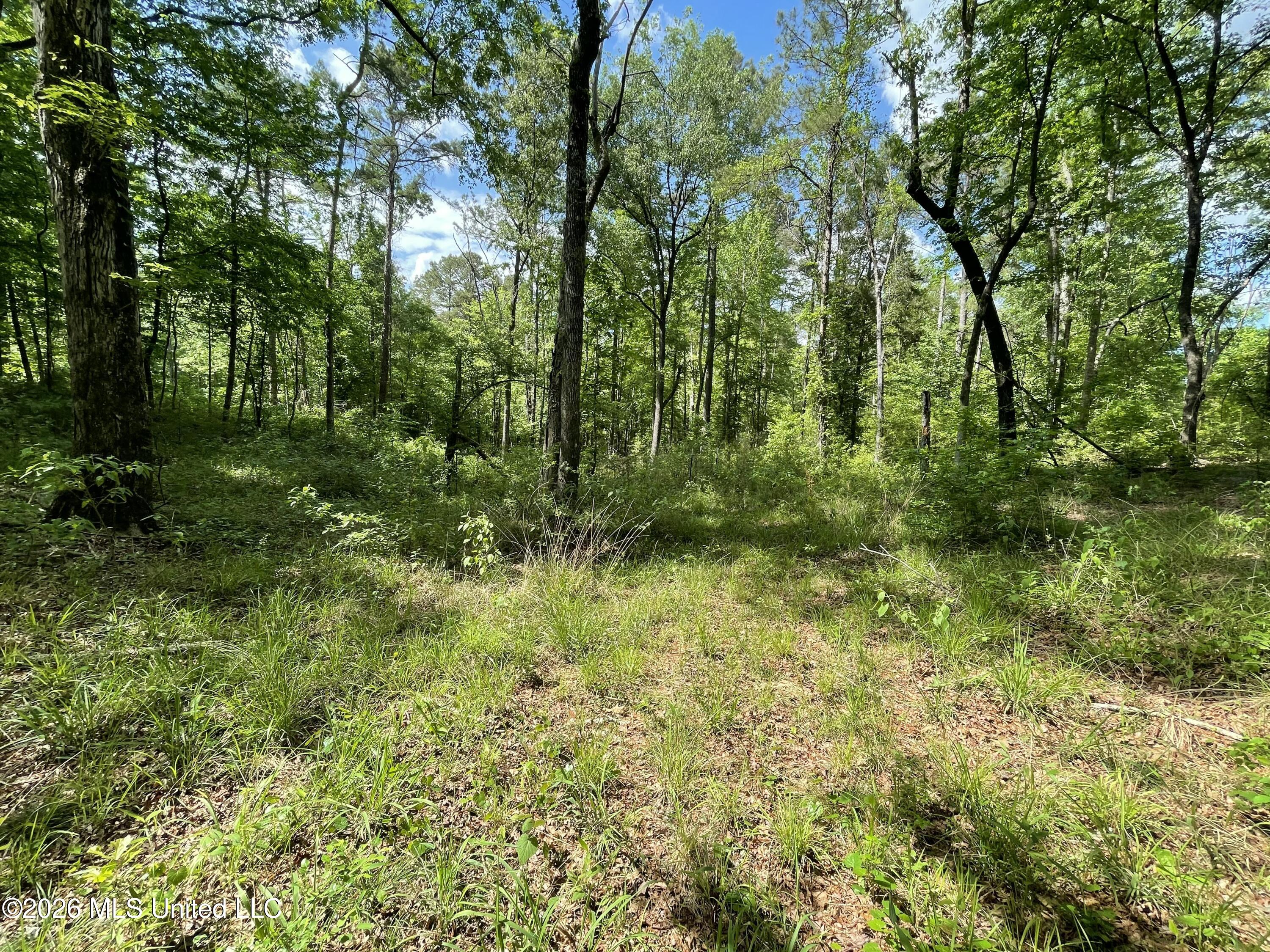 420 Southeast River Rd Drive Bogue Chitto, MS 39629 - Photo 7 of 11 IMG_3993