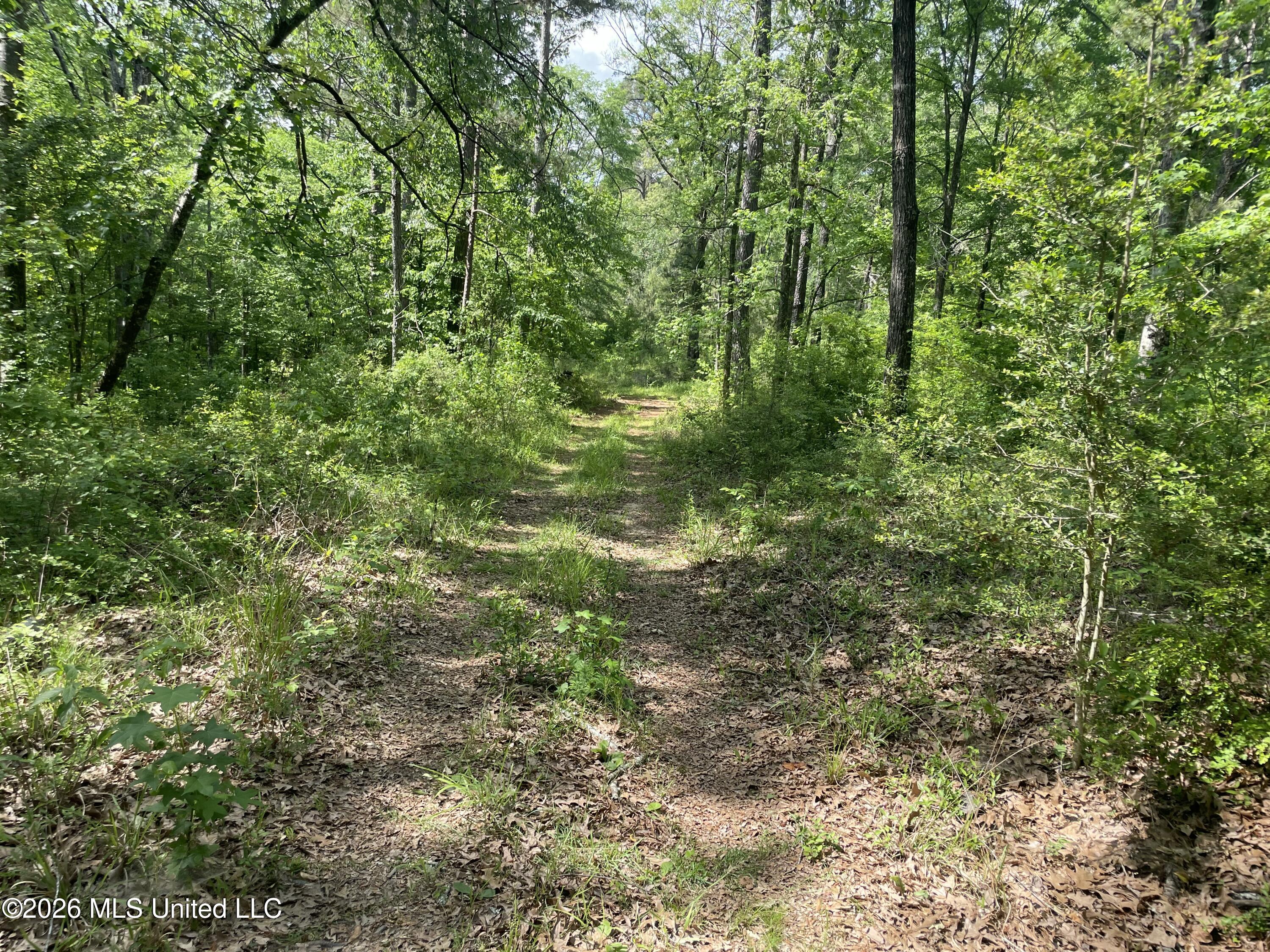 420 Southeast River Rd Drive Bogue Chitto, MS 39629 - Photo 8 of 11 IMG_3995