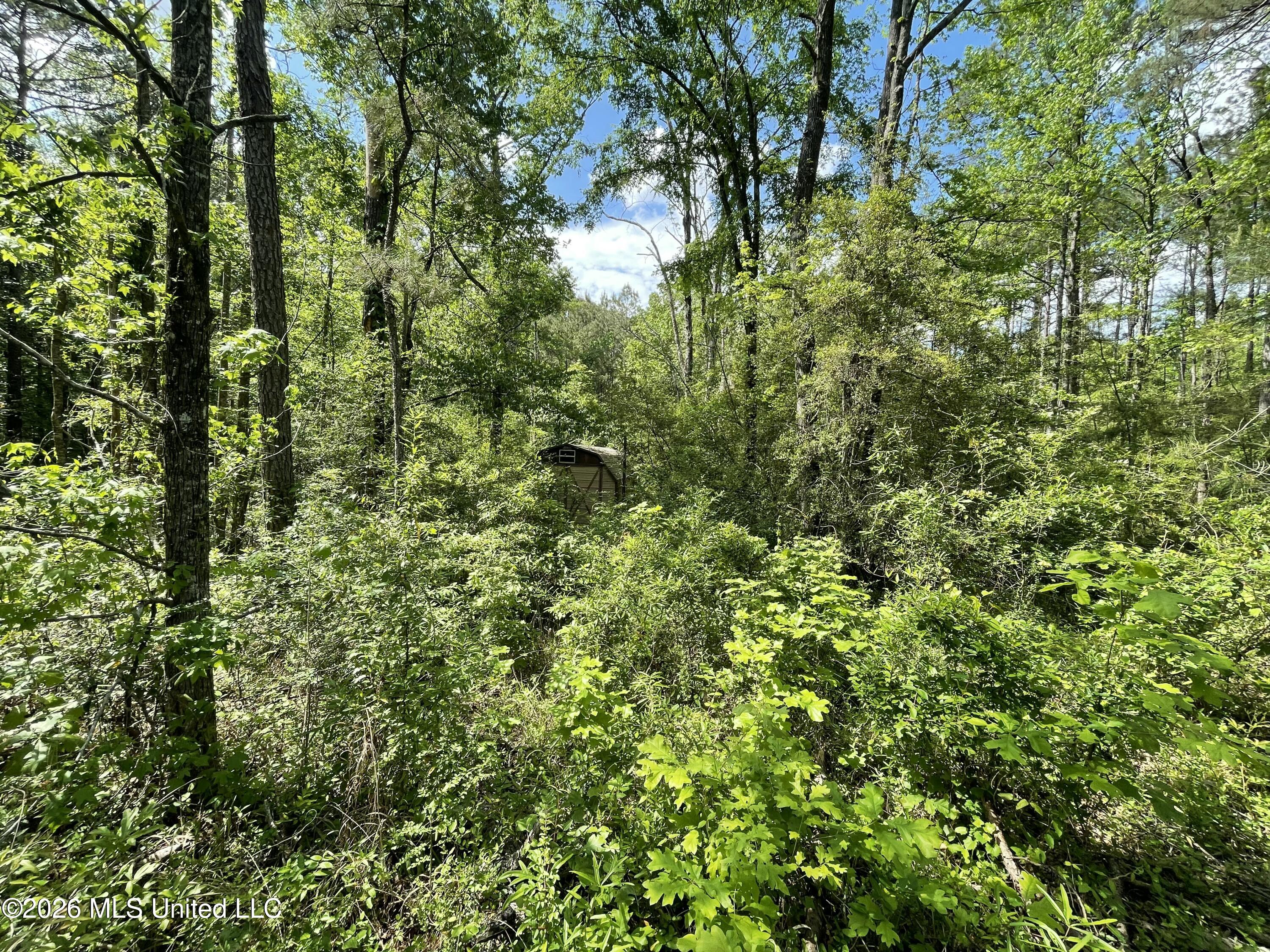 420 Southeast River Rd Drive Bogue Chitto, MS 39629 - Photo 10 of 11 IMG_3998