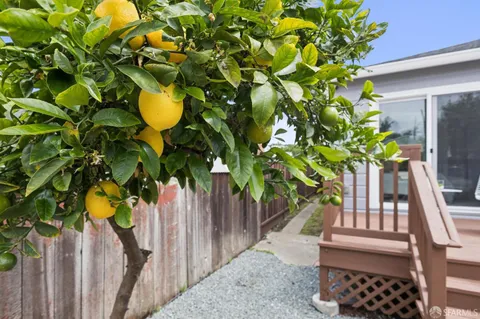 a backyard of a house