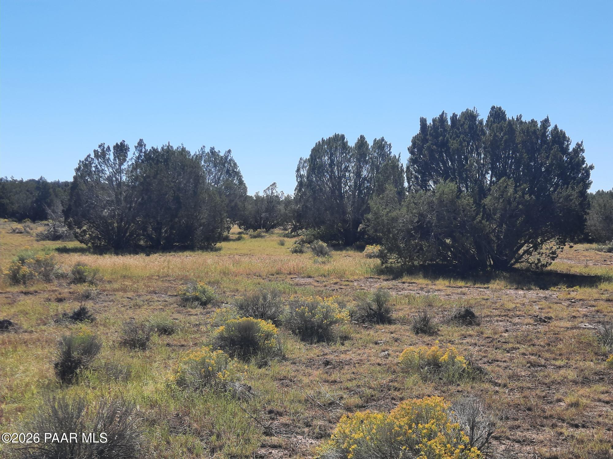 Lot 1371 Last Chance Road Seligman, AZ 86337 - Photo 10 of 20 20261001_112631