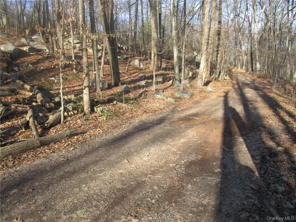 a view of outdoor space with patio