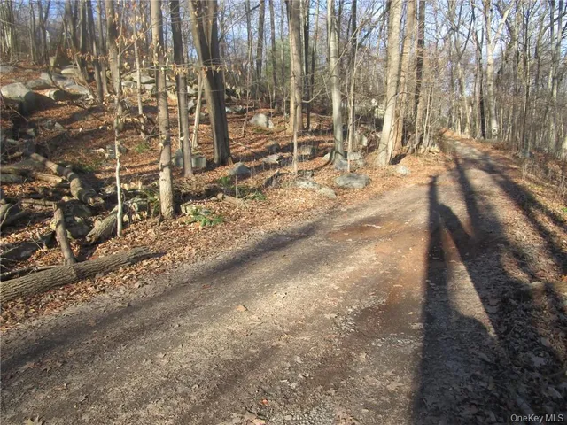 a view of outdoor space with patio
