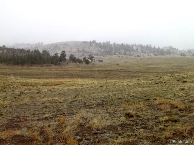 -tbd Chicha Road Hartsel, CO 80449 - Photo 11 of 19 Gallery Image 11