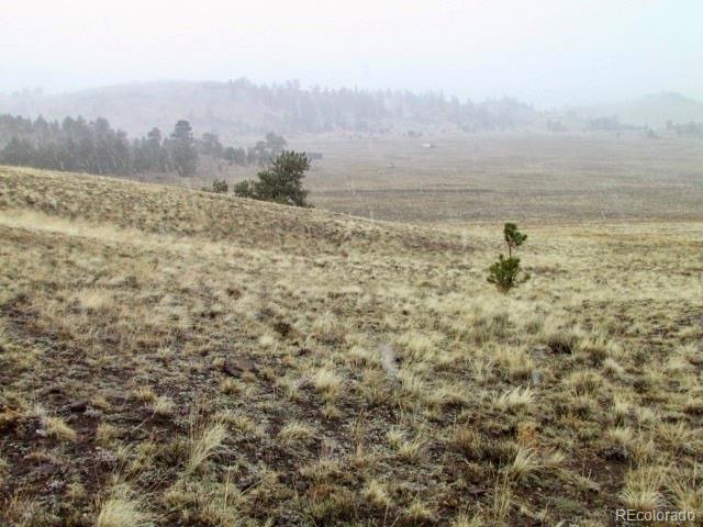 -tbd Chicha Road Hartsel, CO 80449 - Photo 13 of 19 Gallery Image 13