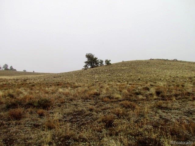 -tbd Chicha Road Hartsel, CO 80449 - Photo 14 of 19 Gallery Image 14