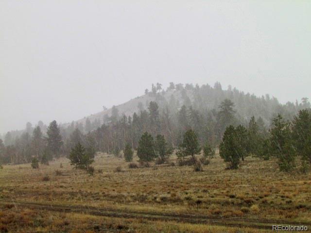-tbd Chicha Road Hartsel, CO 80449 - Photo 17 of 19 Gallery Image 17