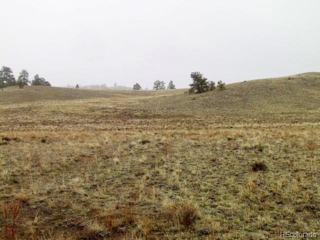 -tbd Chicha Road Hartsel, CO 80449 - Photo 18 of 19 Gallery Image 18