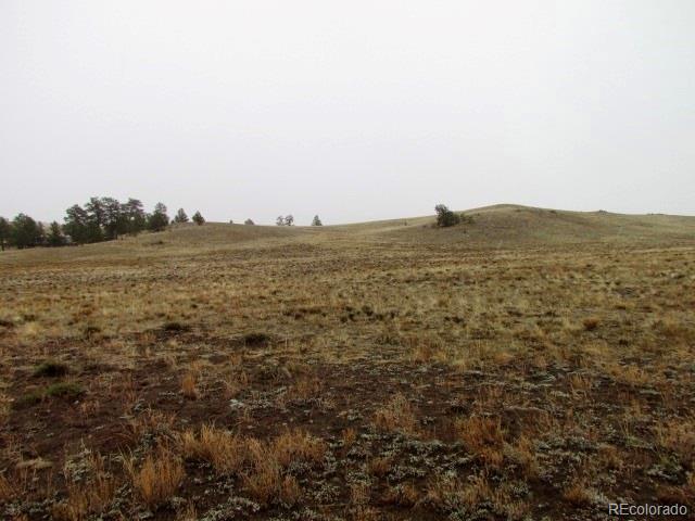 -tbd Chicha Road Hartsel, CO 80449 - Photo 6 of 19 Gallery Image 6