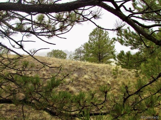 -tbd Chicha Road Hartsel, CO 80449 - Photo 7 of 19 Gallery Image 7