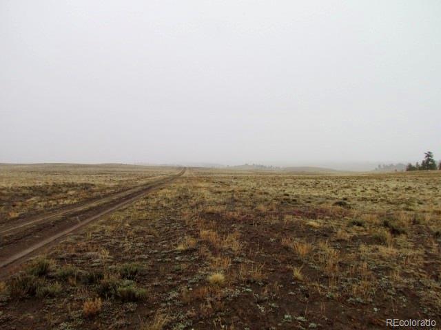 -tbd Chicha Road Hartsel, CO 80449 - Photo 8 of 19 Gallery Image 8
