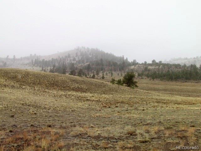 -tbd Chicha Road Hartsel, CO 80449 - Photo 10 of 19 Gallery Image 10