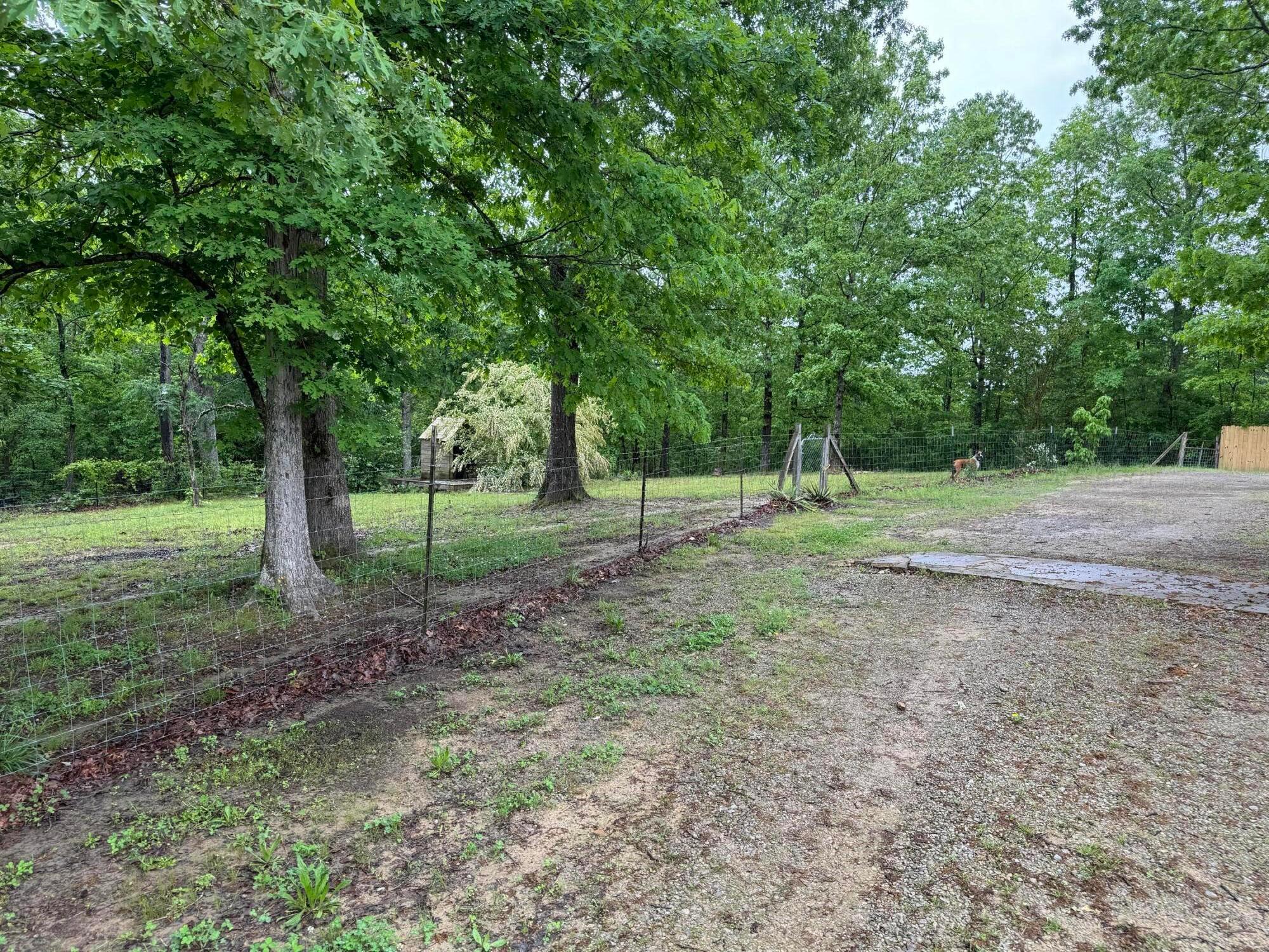 1201 Hoggle Ridge Road Haleyville, AL 35565 - Photo 36 of 38 Gallery Image 36