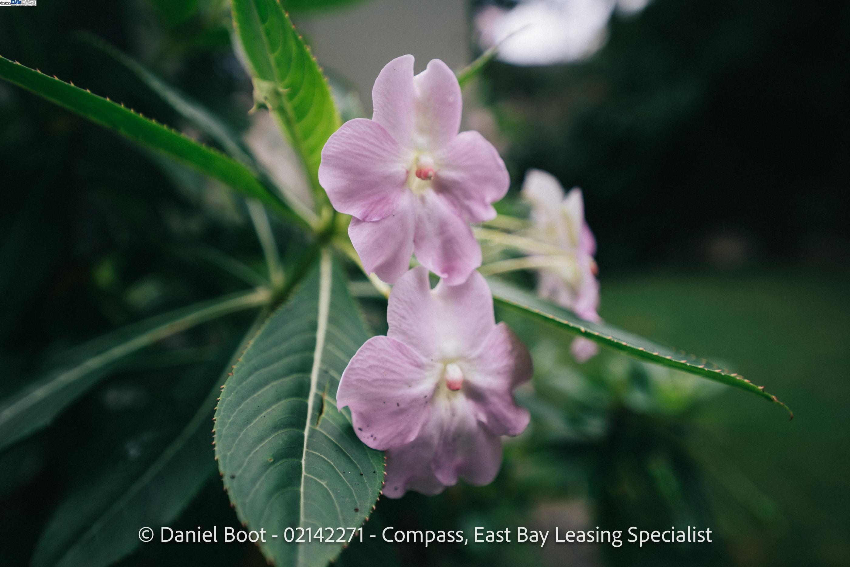 2141 Ward Street Berkeley, CA 94705 - Photo 41 of 41