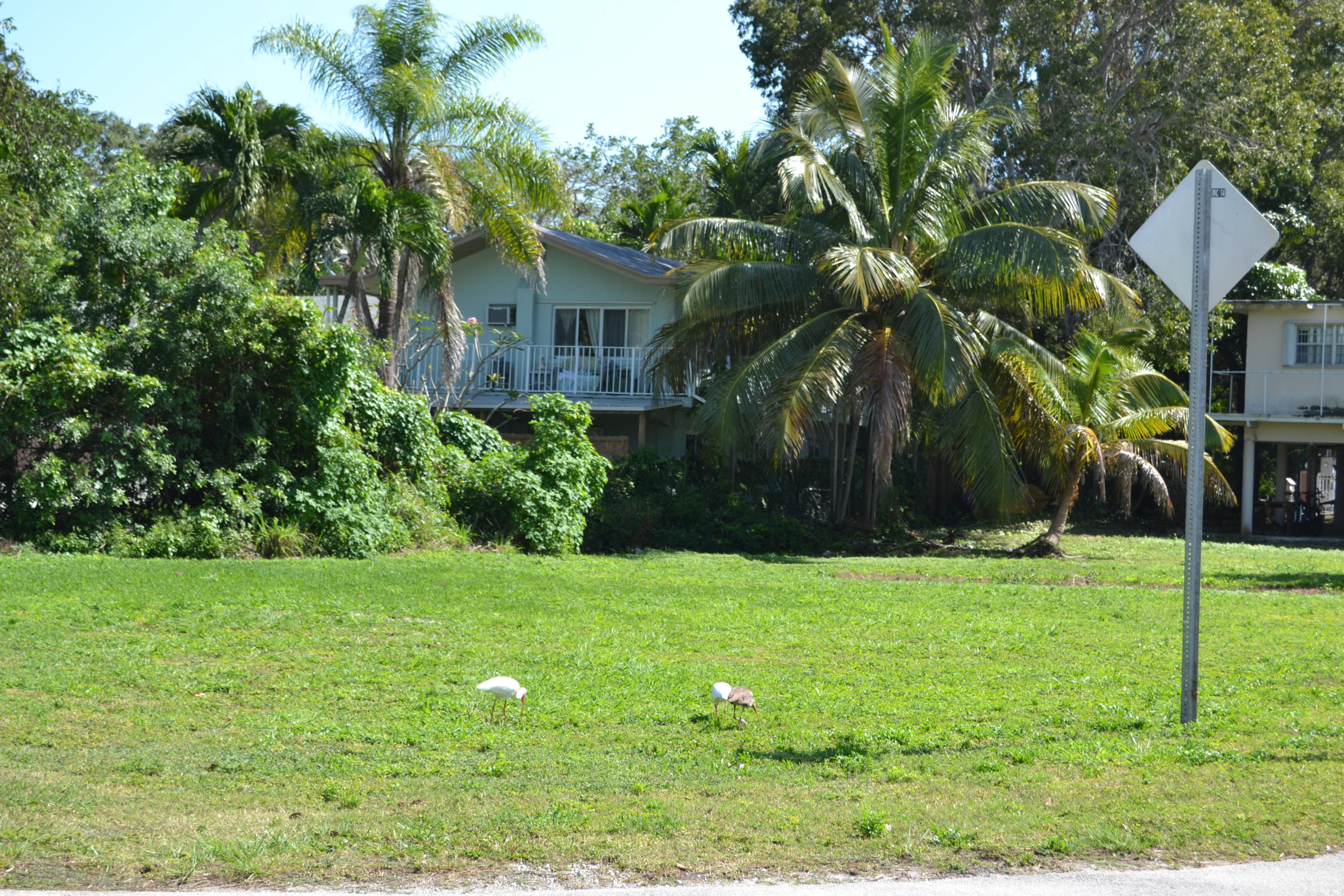 0 Dolphin Road Key Largo, FL 33037 - Photo 1 of 23 Lovely Cleared Lot