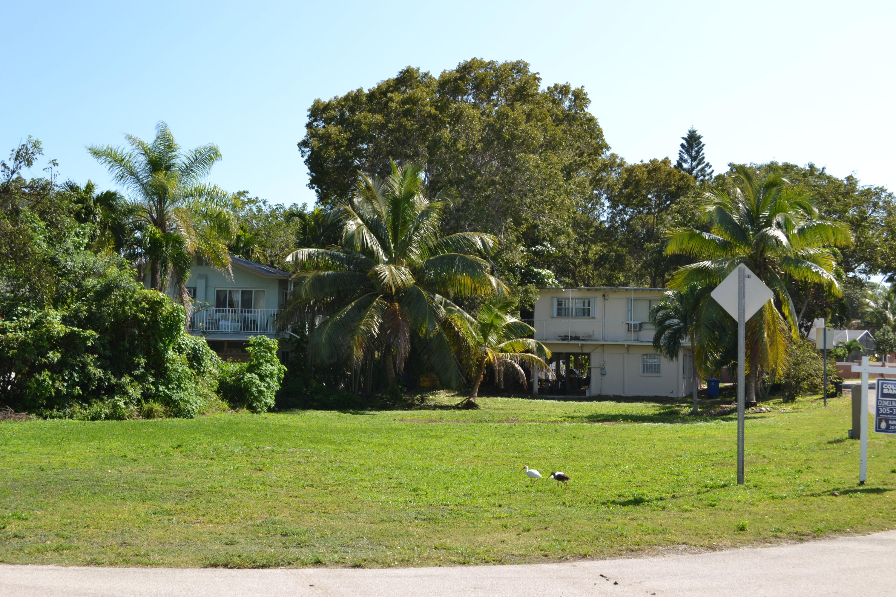 0 Dolphin Road Key Largo, FL 33037 - Photo 22 of 23 Nice Corner Lot