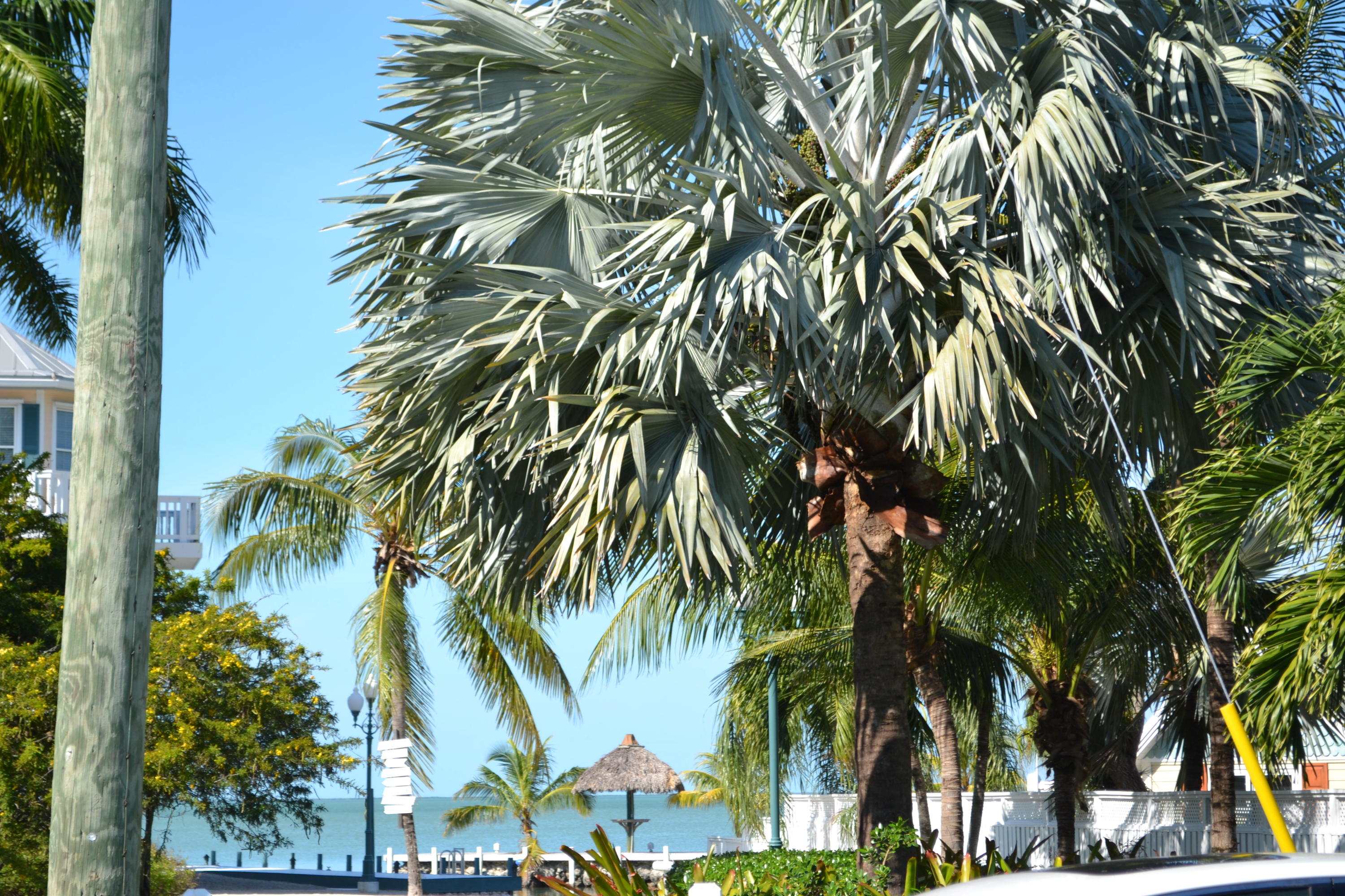0 Dolphin Road Key Largo, FL 33037 - Photo 5 of 23 Beautiful view