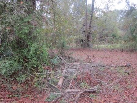 2569 Nelsontown Road Jay, FL 32565 - Photo 18 of 22