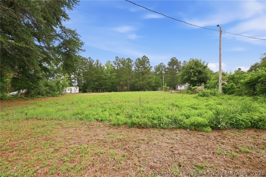 664 Sandy Grove Road Lumber Bridge, NC 28357 - Photo 35 of 37