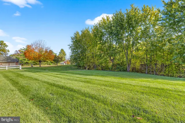 a view of a house with a yard and potted plants