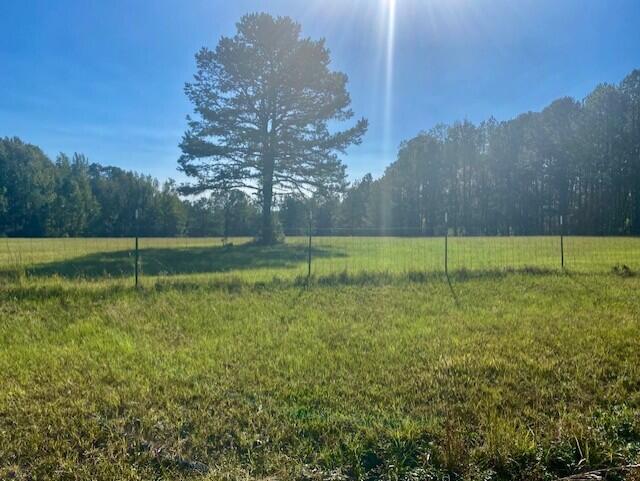 0 East White Oak Road Appling, GA 30802 - Photo 2 of 3 wolot1