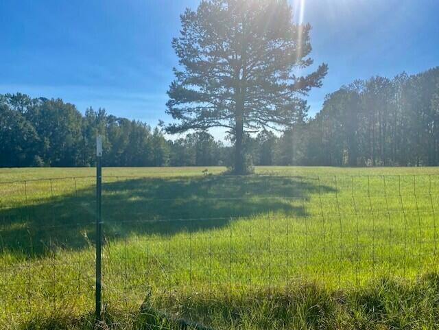 0 East White Oak Road Appling, GA 30802 - Photo 3 of 3 wolot3