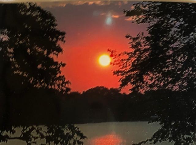 1007 Van Dyke Road Northwest Alexandria, MN 56308 - Photo 69 of 71