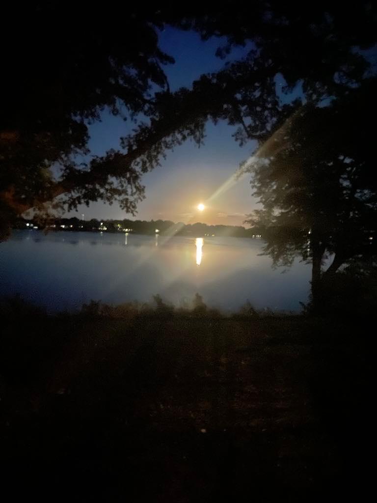 1007 Van Dyke Road Northwest Alexandria, MN 56308 - Photo 70 of 71