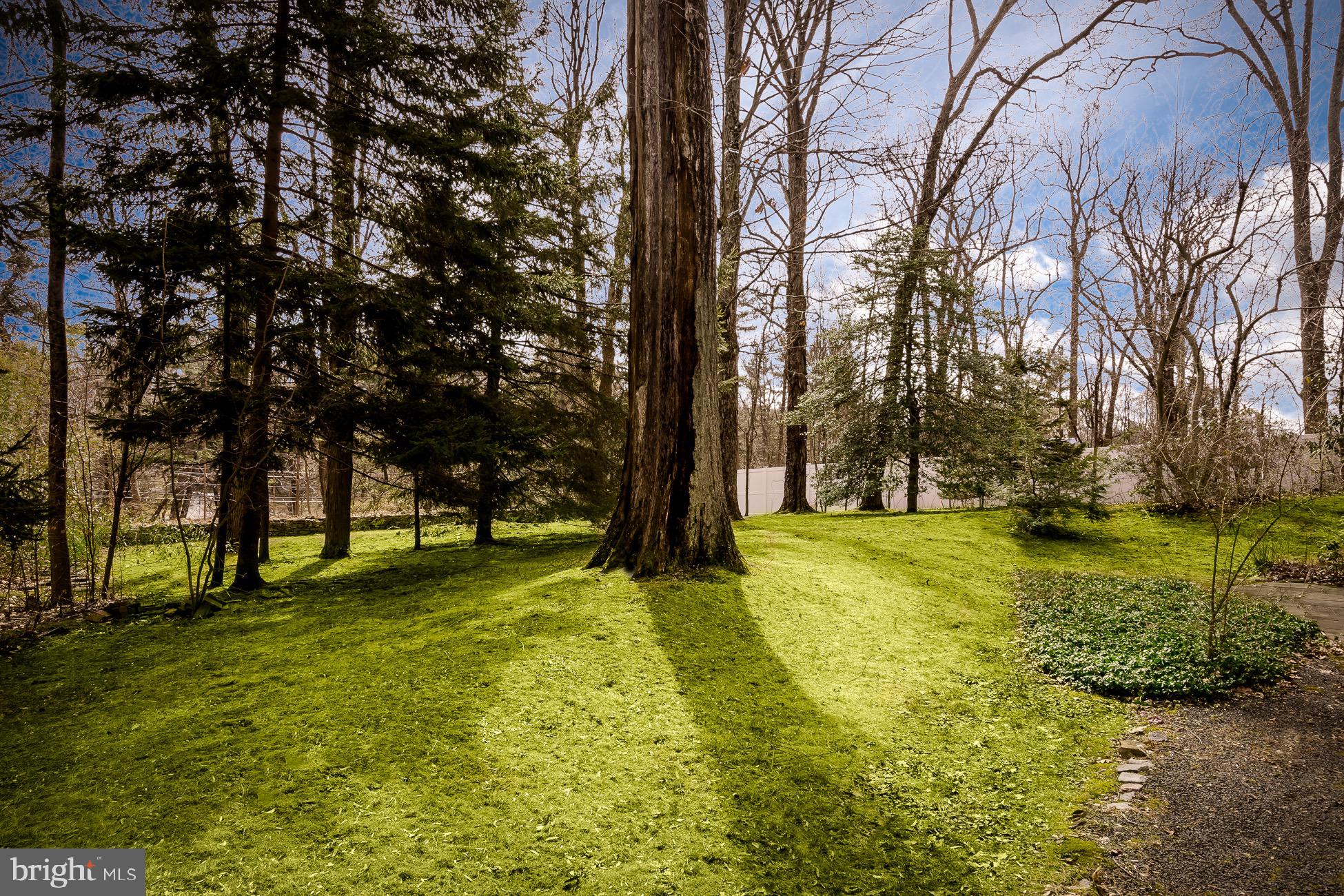 52 Winant Road Princeton, NJ 08540 - Photo 27 of 32 a view of swimming pool with trees
