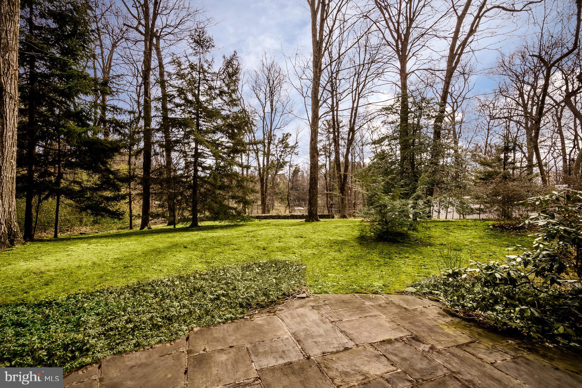 52 Winant Road Princeton, NJ 08540 - Photo 30 of 32 a view of yard with tree in the background
