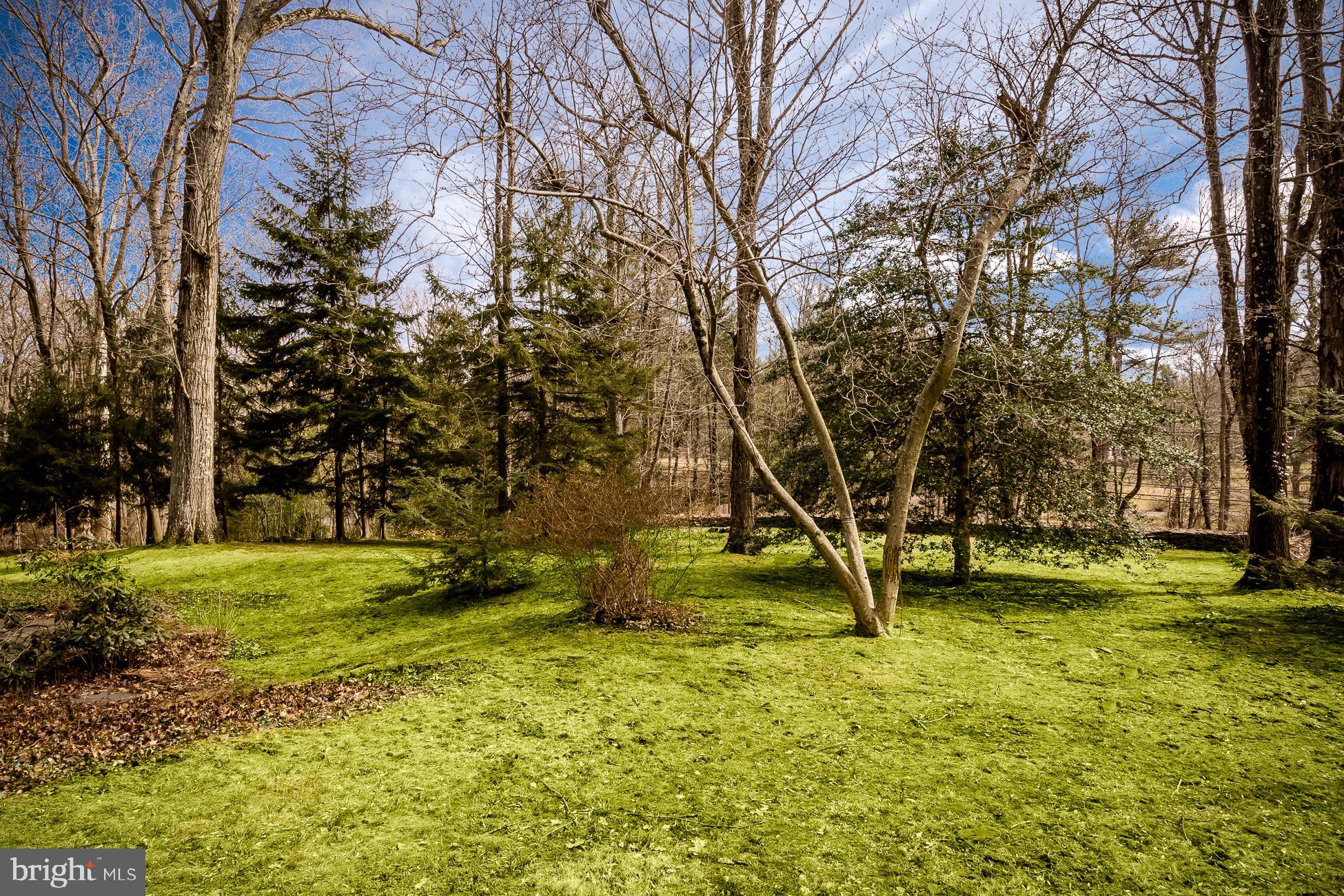 52 Winant Road Princeton, NJ 08540 - Photo 32 of 32 a backyard of a house with a yard and large tree