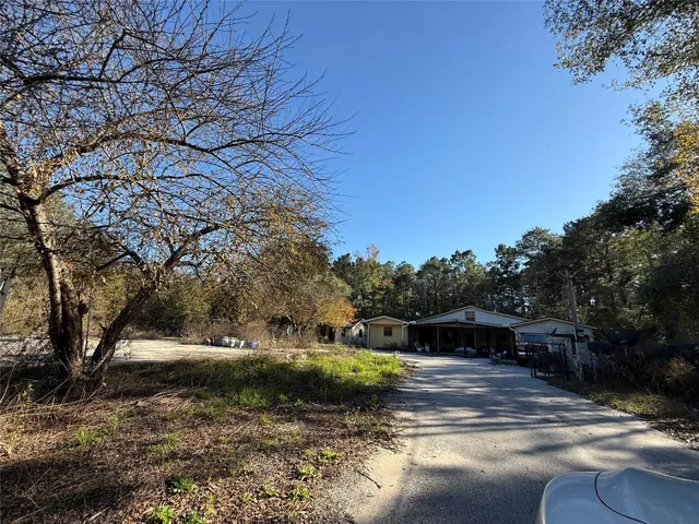 a view of a yard with plants and trees
